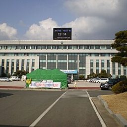 강아랑