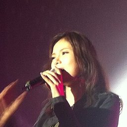 거미 사진