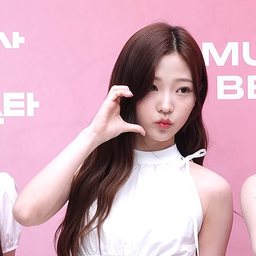 스텔라 사진