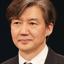 조국 (법학자)
