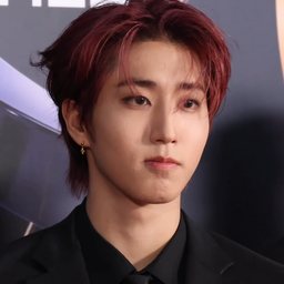 한 (스트레이 키즈)